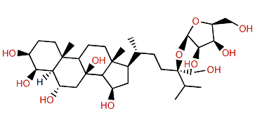 Antarcticoside N